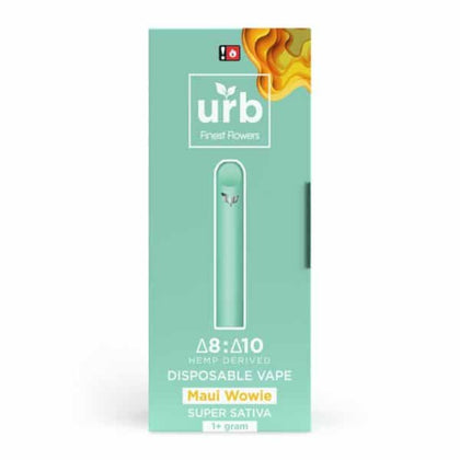 URB DELTA 10 DISPOSABLE - 1GM - PACK OF 10 - BBW Supply