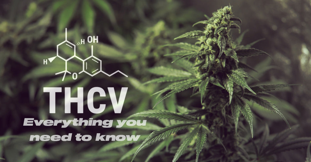 Everything you need to know about THCV