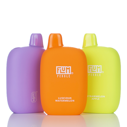 Flum Pebble 6000 Puffs Rechargeable Disposable | Pack Of 05 / 10
